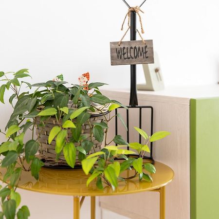 Springhome - Cozy Apartment With Balcony & Parking 布拉索夫 外观 照片