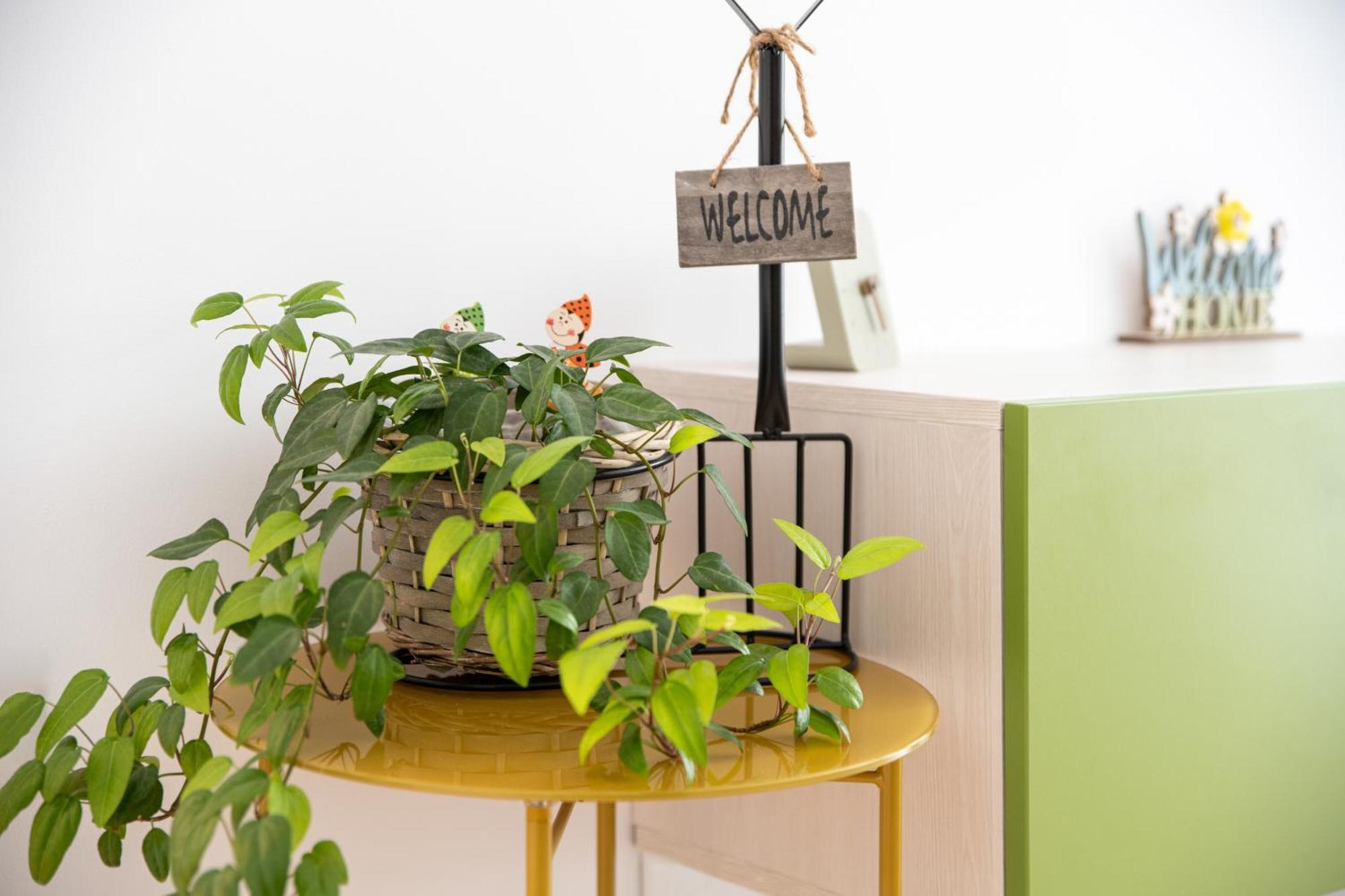 Springhome - Cozy Apartment With Balcony & Parking 布拉索夫 外观 照片
