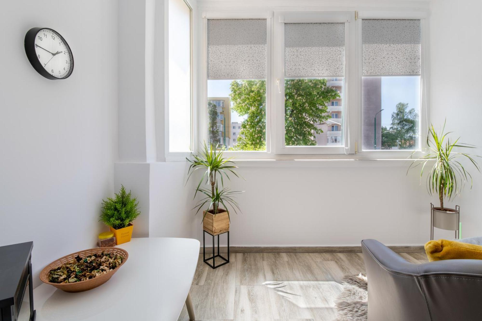 Springhome - Cozy Apartment With Balcony & Parking 布拉索夫 外观 照片